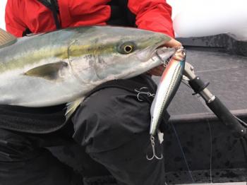 シーマジカル 釣果