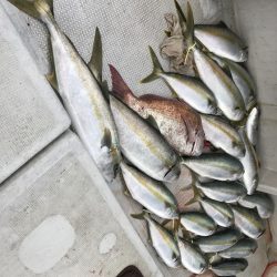 寿裕 （YOSHIHIRO） 釣果