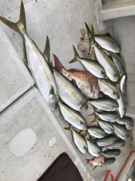 寿裕 （YOSHIHIRO） 釣果