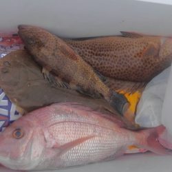 遊漁船 新鋭丸 釣果