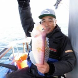 鯛紅丸 釣果