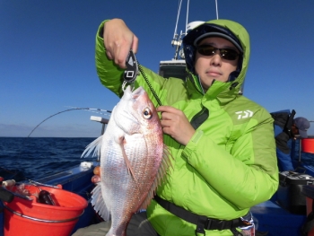 鯛紅丸 釣果