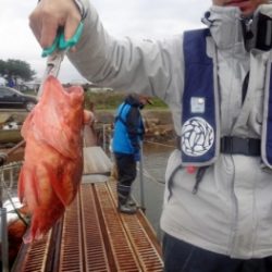 鯛紅丸 釣果