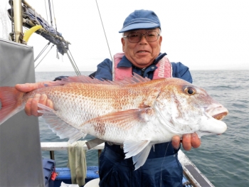 鯛紅丸 釣果