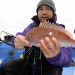鯛紅丸 釣果