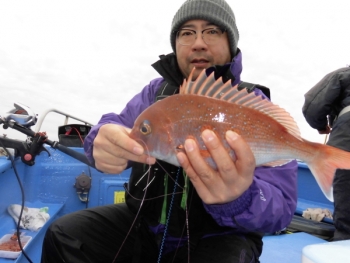 鯛紅丸 釣果