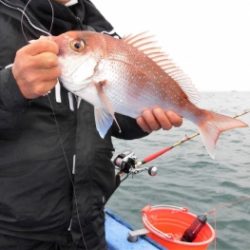 鯛紅丸 釣果