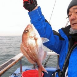 鯛紅丸 釣果