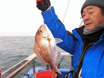 鯛紅丸 釣果