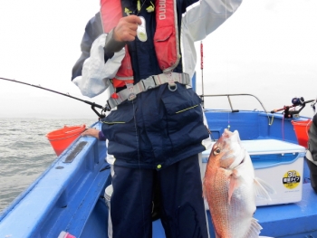 鯛紅丸 釣果