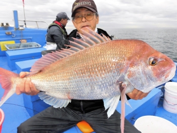 鯛紅丸 釣果