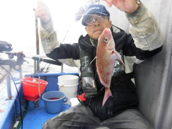 鯛紅丸 釣果