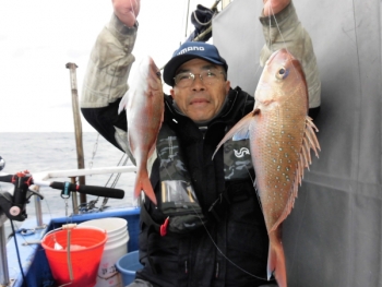 鯛紅丸 釣果