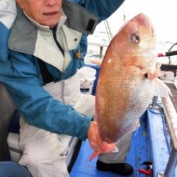 鯛紅丸 釣果