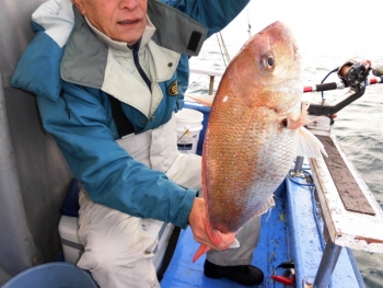 鯛紅丸 釣果
