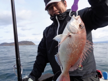 鯛紅丸 釣果