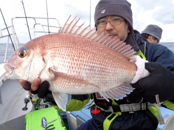 鯛紅丸 釣果