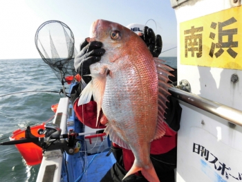鯛紅丸 釣果