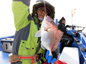 鯛紅丸 釣果