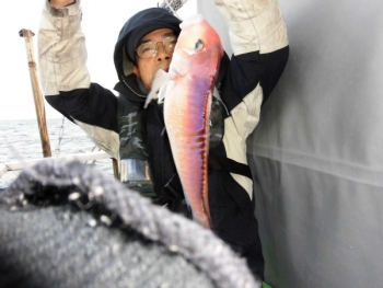 鯛紅丸 釣果