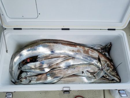 遊漁船　ニライカナイ 釣果