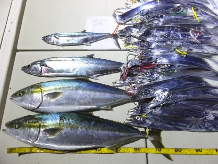 Hit Rush(ヒット ラッシュ） 釣果…