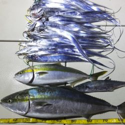 Hit Rush(ヒット ラッシュ） 釣果