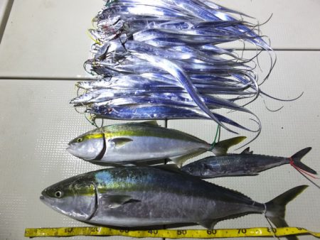 Hit Rush(ヒット ラッシュ） 釣果…