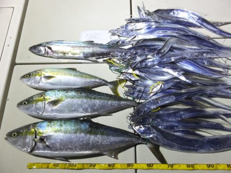 Hit Rush(ヒット ラッシュ） 釣果…