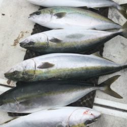 釣船 浦島太郎 釣果