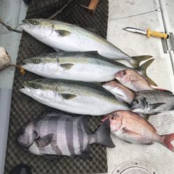 釣船 浦島太郎 釣果