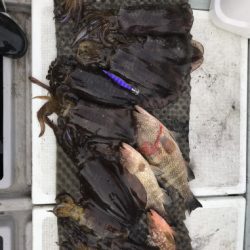 釣船 浦島太郎 釣果