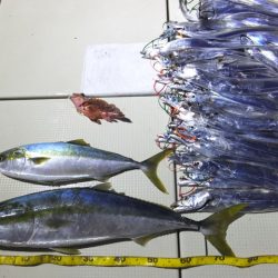 Hit Rush(ヒット ラッシュ） 釣果