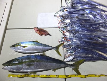 Hit Rush(ヒット ラッシュ） 釣果…