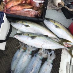 釣船 浦島太郎 釣果