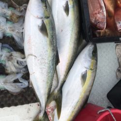 釣船 浦島太郎 釣果