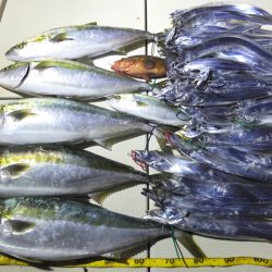 Hit Rush(ヒット ラッシュ) 釣果