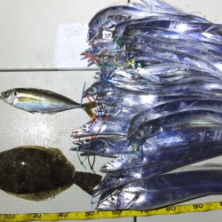 Hit Rush(ヒット ラッシュ) 釣果