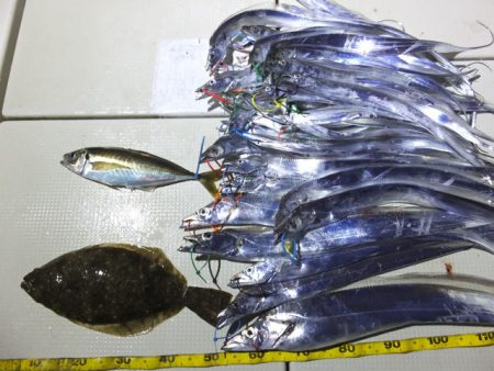 Hit Rush(ヒット ラッシュ） 釣果…