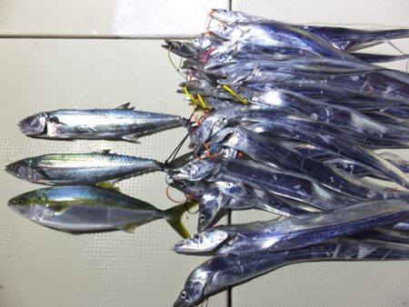 Hit Rush(ヒット ラッシュ） 釣果…