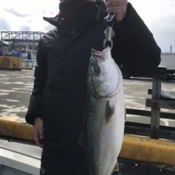 釣船 浦島太郎 釣果