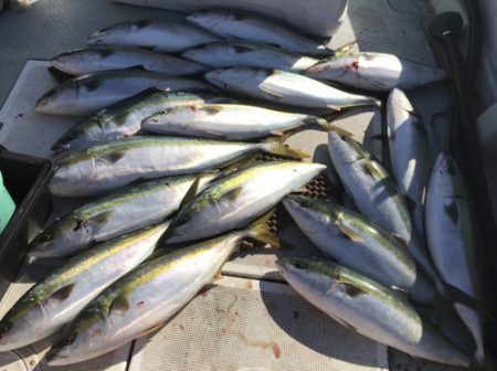 釣船 浦島太郎 釣果