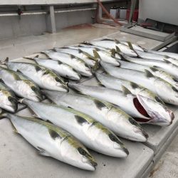 寿裕 （YOSHIHIRO） 釣果