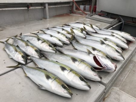 寿裕 （YOSHIHIRO） 釣果