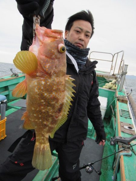 真祐丸 (しんゆうまる) 釣果