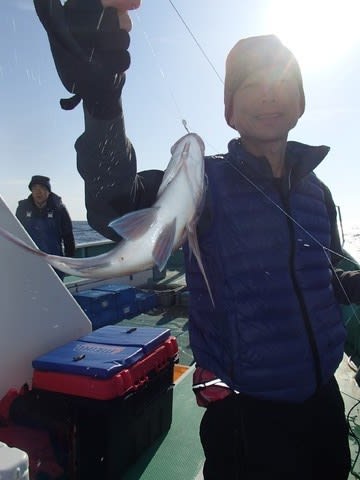 第二むつ漁丸 釣果