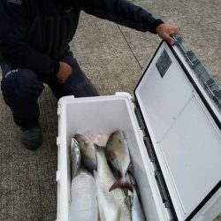 第五慶門丸 釣果