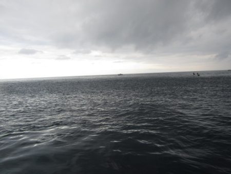 ジギング船 BLUEWATER 釣果