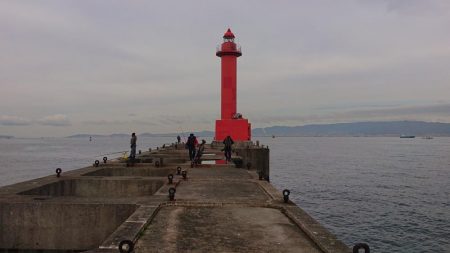 太刀魚狩りじゃ