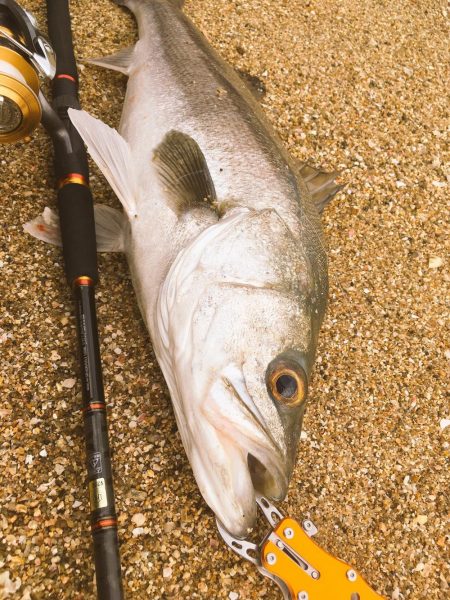 自己新記録更新！